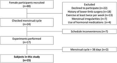 Changes in the mechanical properties of the thigh and lower leg muscle-tendon units during the early follicular and early luteal phases